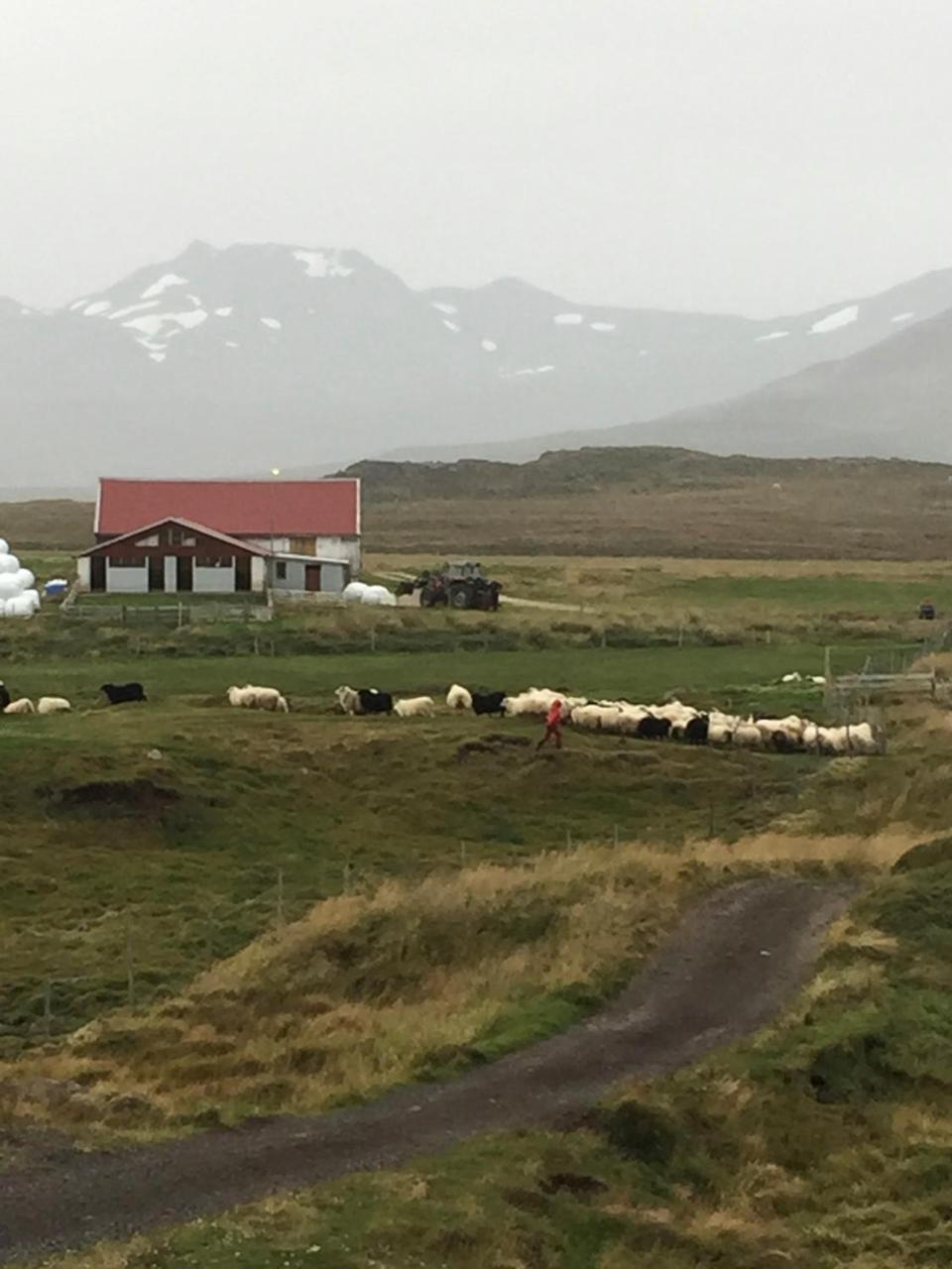 Helgafell
