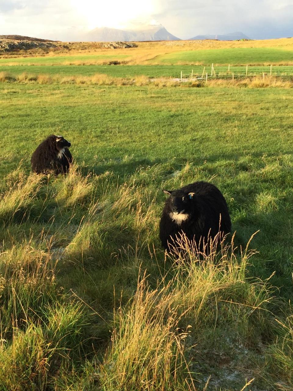 Helgafell 3* Stykkishólmur